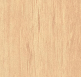 Young Beech (Ply Look)